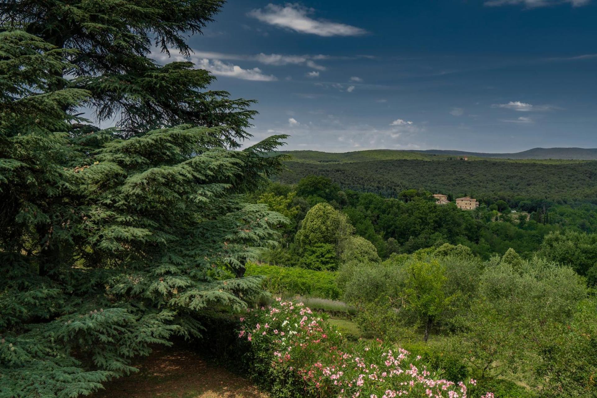 Borgo Villa Certano - Case Vacanza In Toscana Siena Zewnętrze zdjęcie