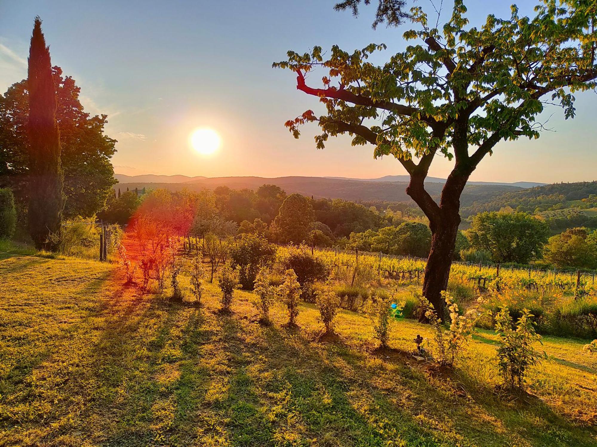Borgo Villa Certano - Case Vacanza In Toscana Siena Zewnętrze zdjęcie