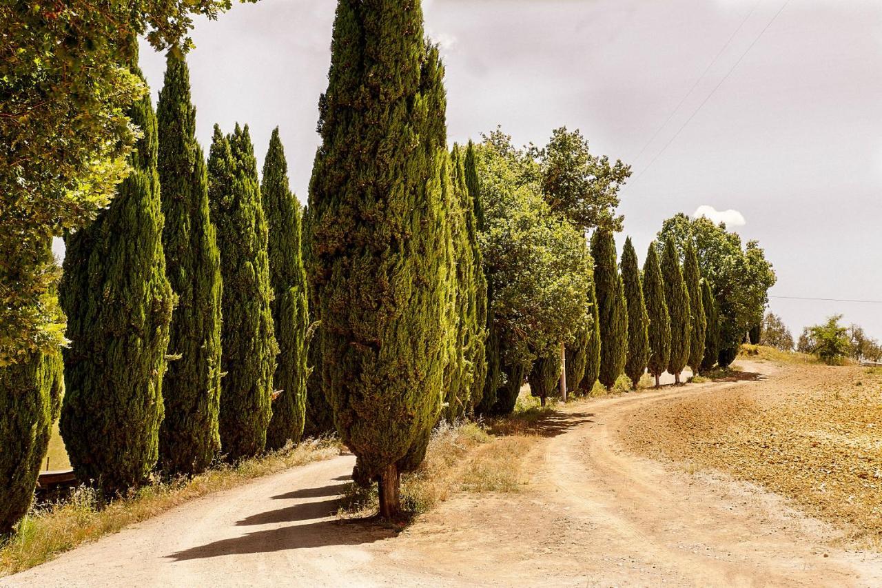 Borgo Villa Certano - Case Vacanza In Toscana Siena Zewnętrze zdjęcie