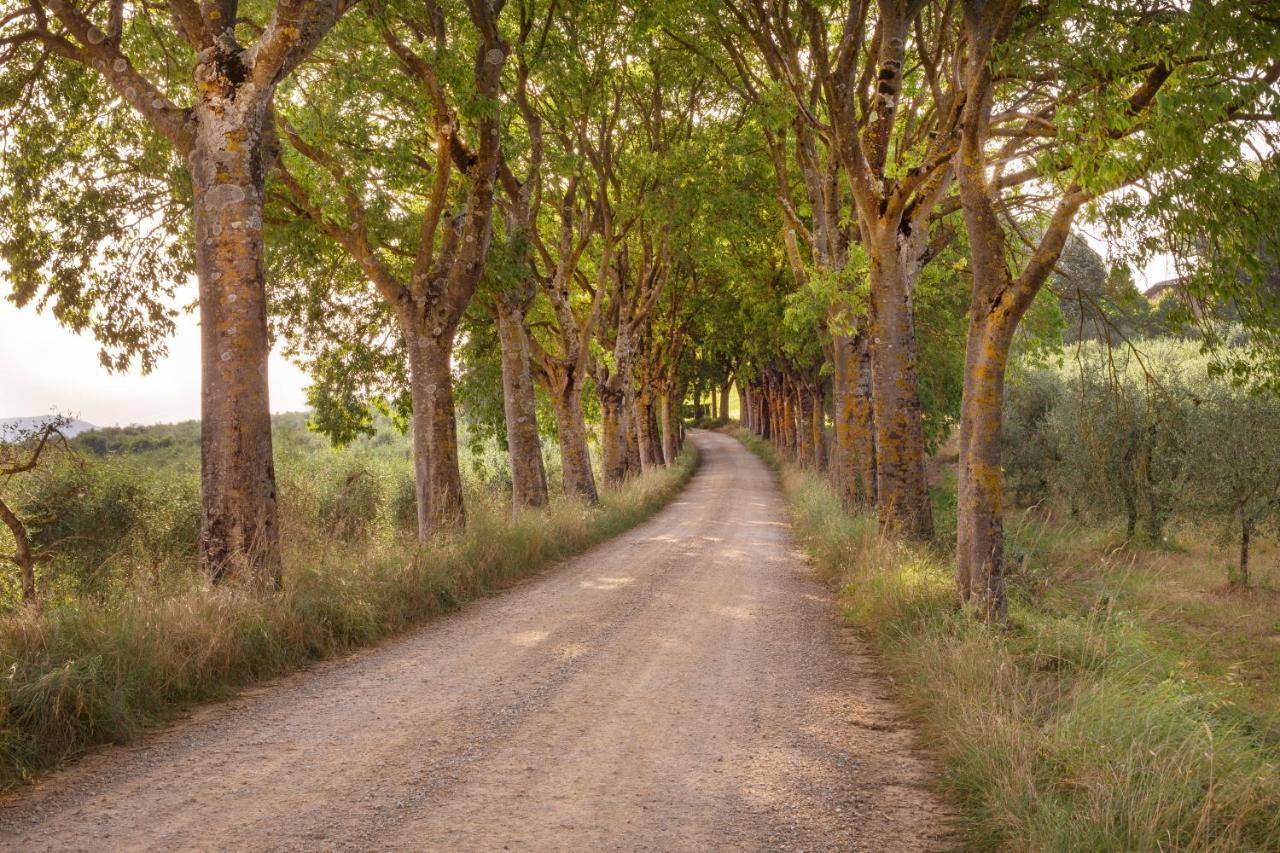 Borgo Villa Certano - Case Vacanza In Toscana Siena Zewnętrze zdjęcie